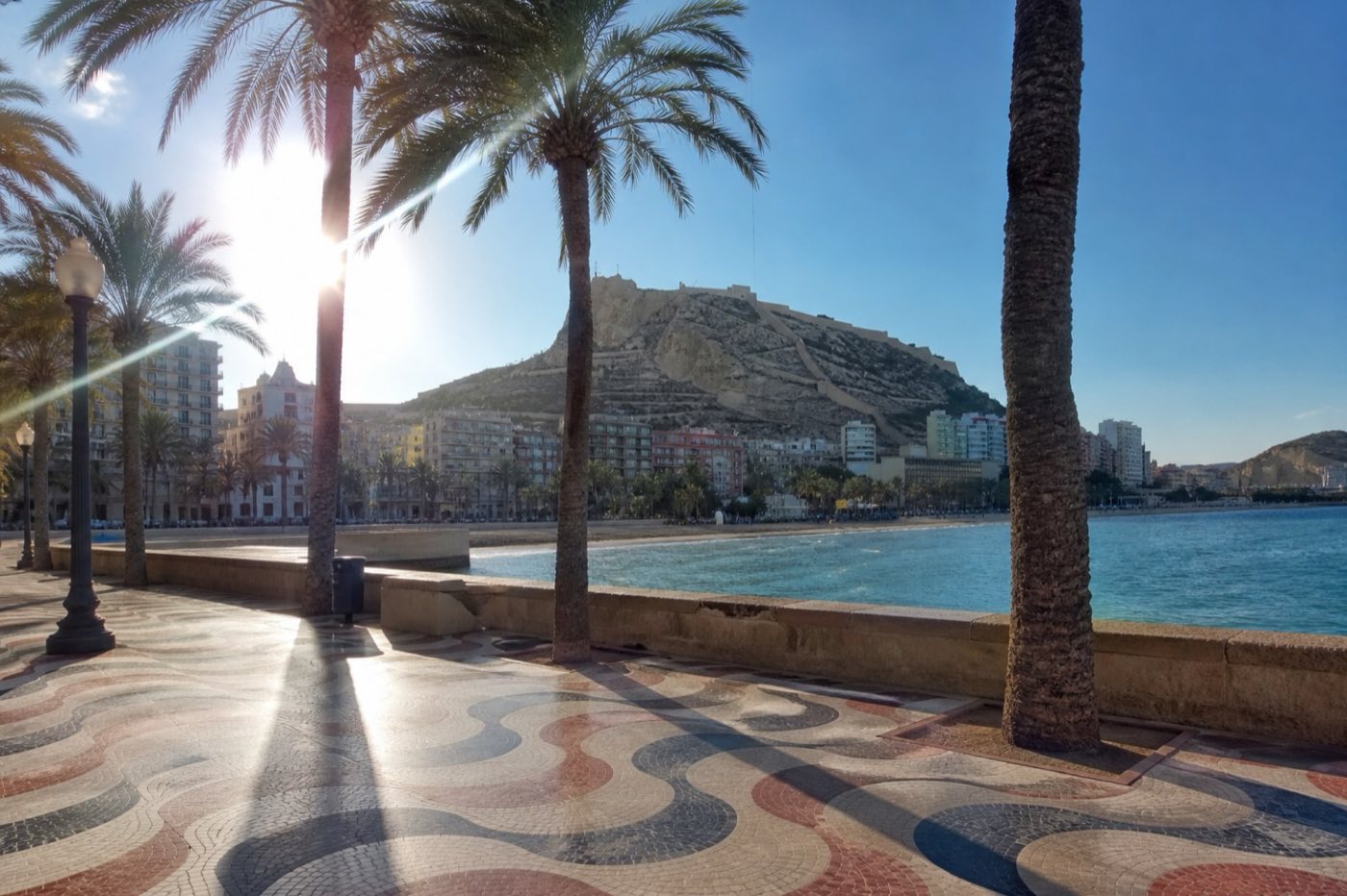 Phone snapshot: Alicante palm promenade with Santa Barbara castle on the hill