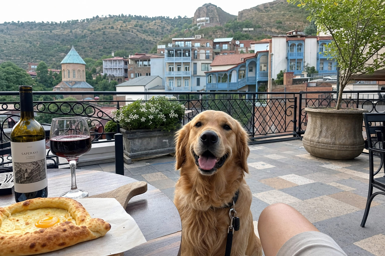 Собака с хозяином на террасе pet-friendly отеля в Тбилиси: вид на старый город и зелёные холмы, туристическое фото на смартфон
