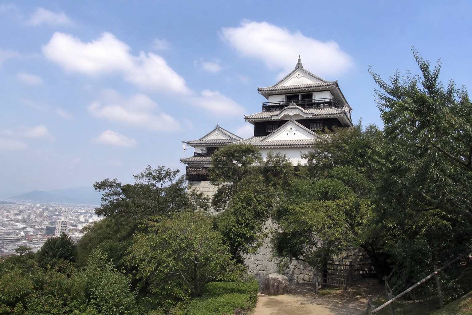 Matsuyama Castle tenshu keep on a wooded hill — casual tourist phone photo