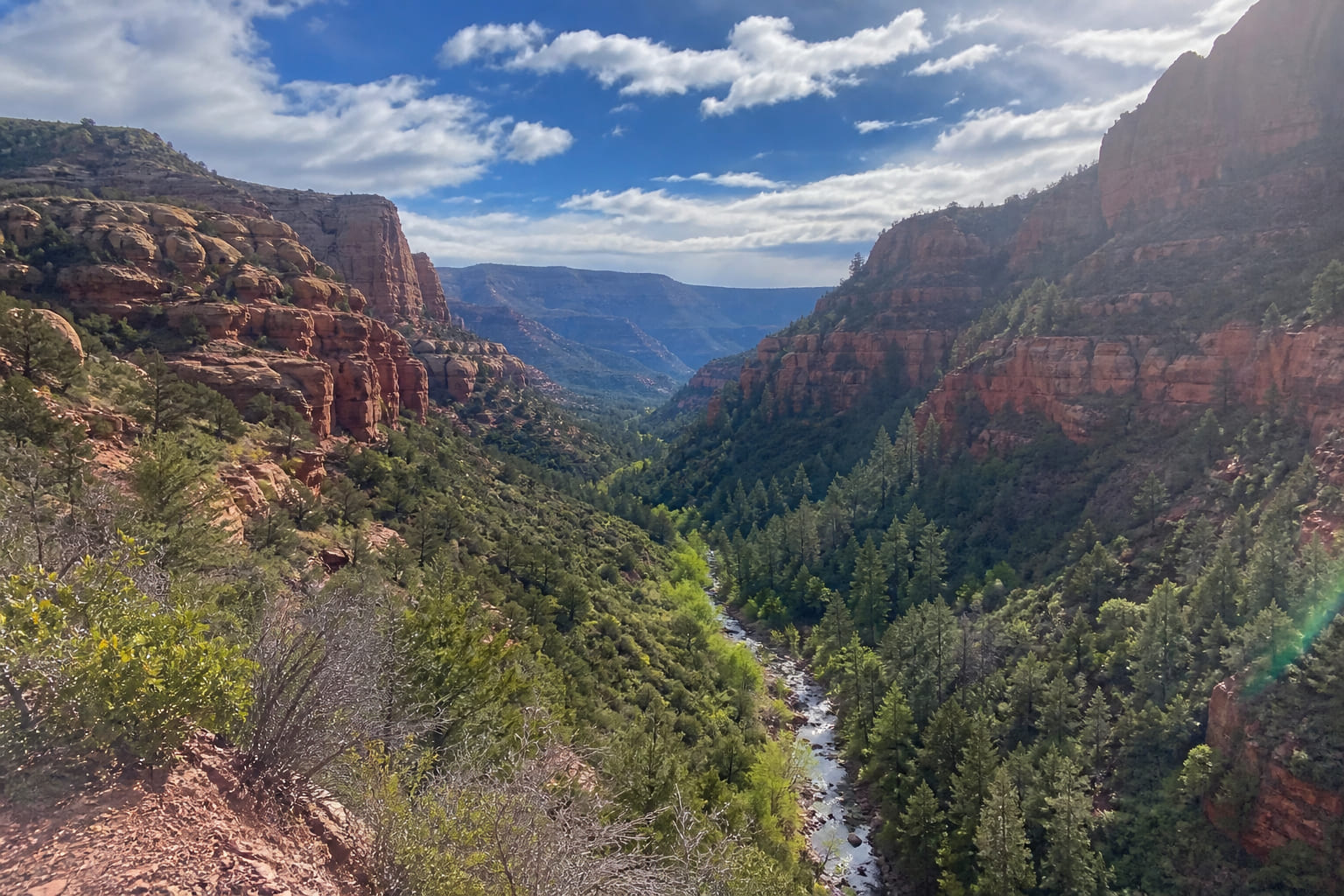 Oak Creek Canyon Arizona — casual tourist smartphone photo of red cliffs, pines, and the creek from a Highway 89A overlook