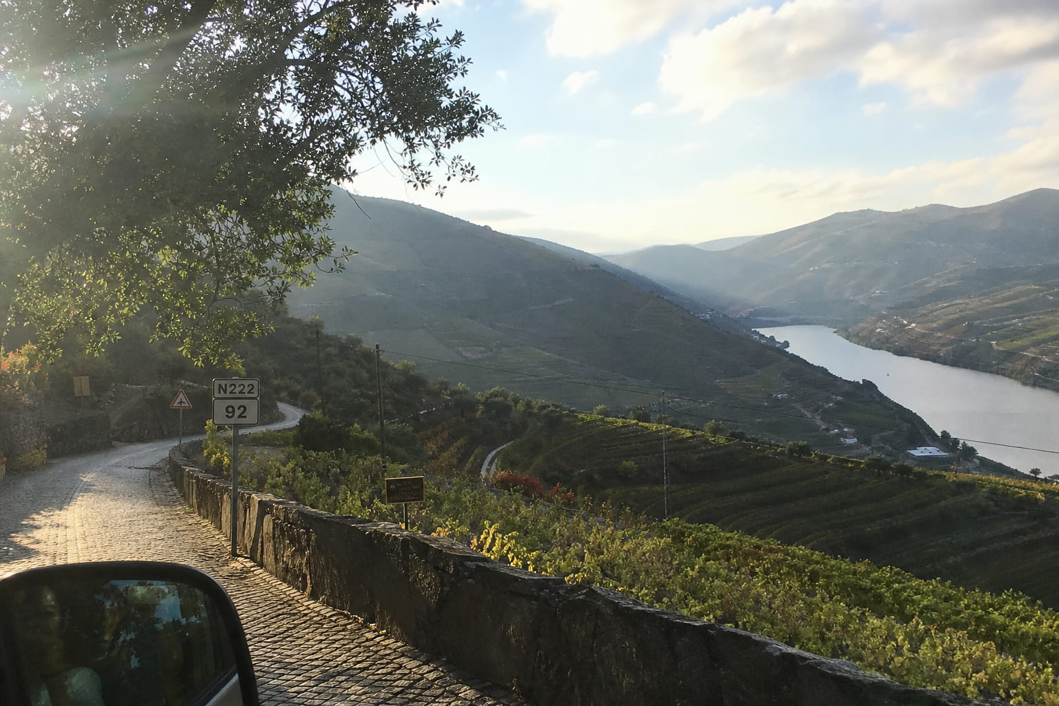 Terraced Douro Valley vineyards along a winding road — casual tourist smartphone photo, Portugal
