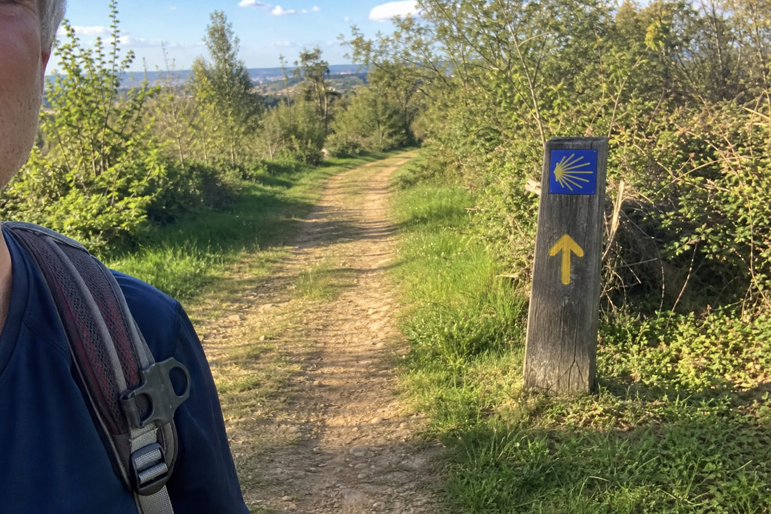 Yellow arrow and scallop shell waymark on a wooden post along the Portuguese Camino de Santiago trail