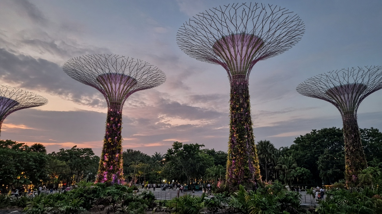 Смартфон-фото Supertree Grove в Gardens by the Bay на закате