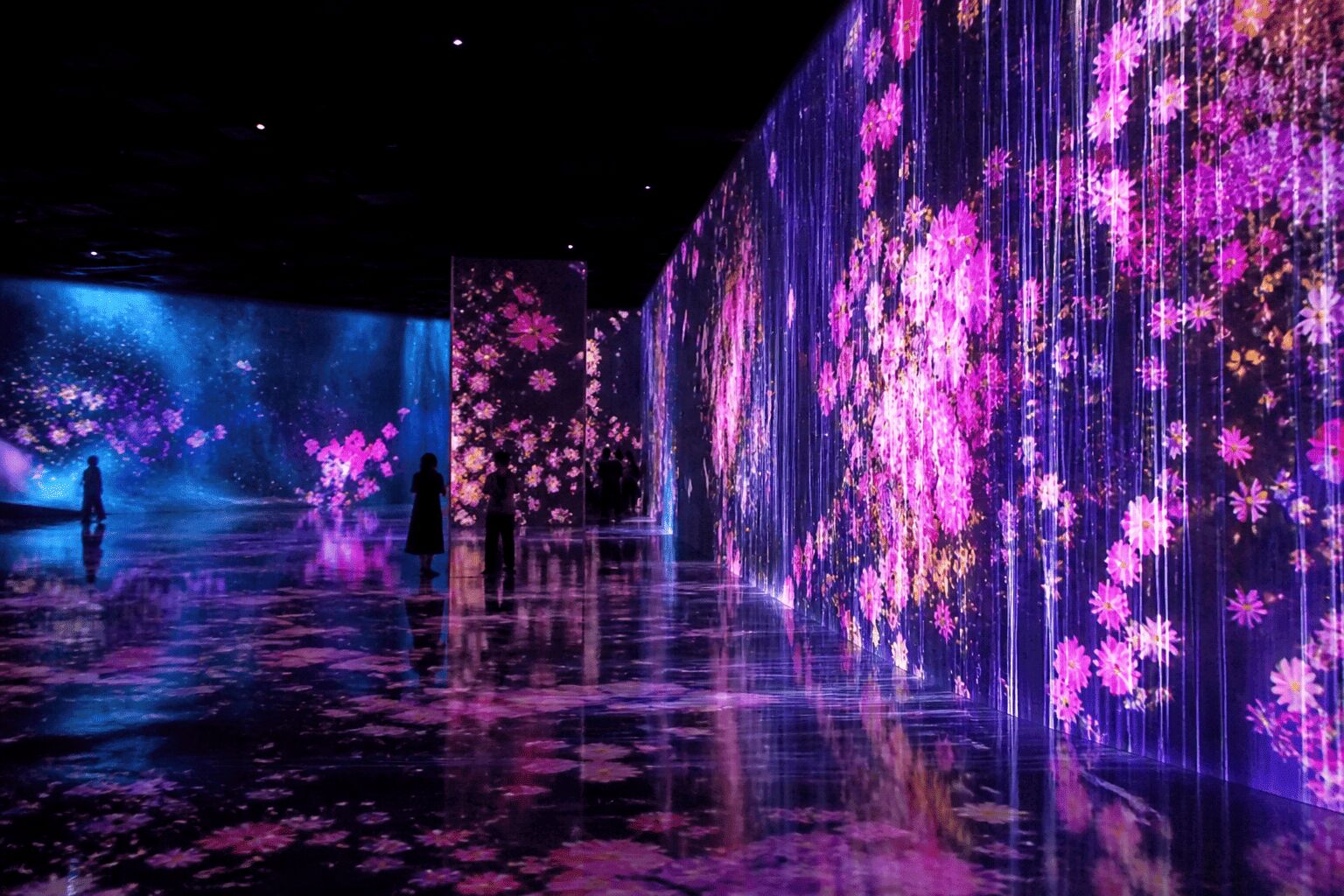 Immersive digital art museum in Japan photographed by a tourist on a phone