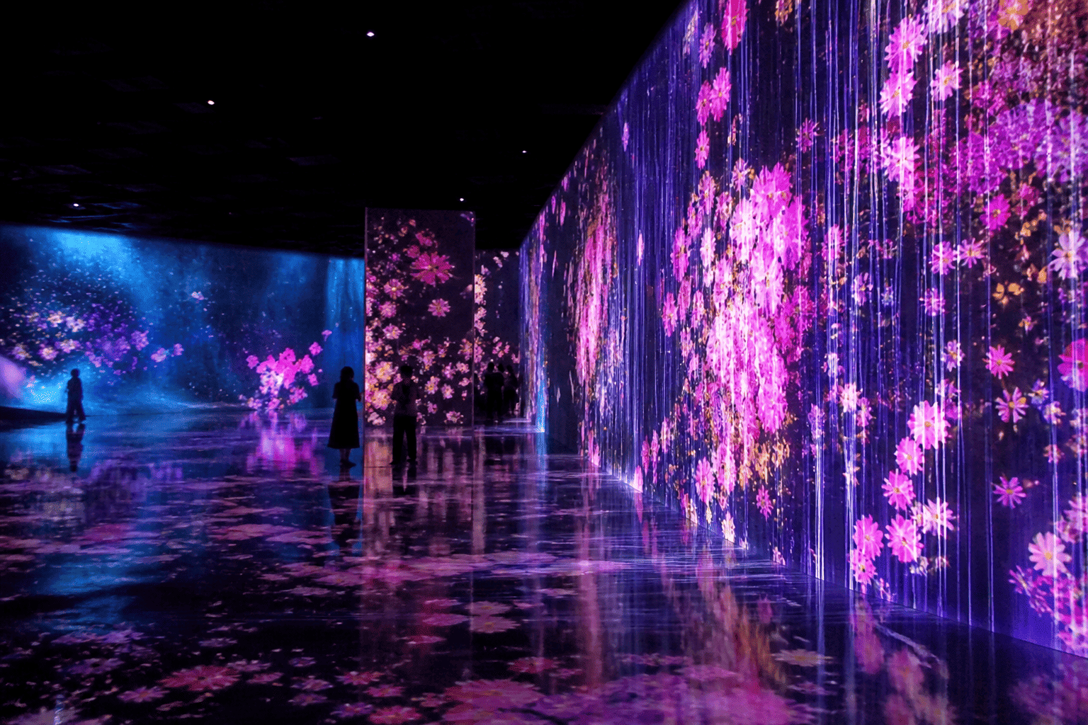 Иммерсивная цифровая выставка teamLab в Японии, снятая туристом на телефон